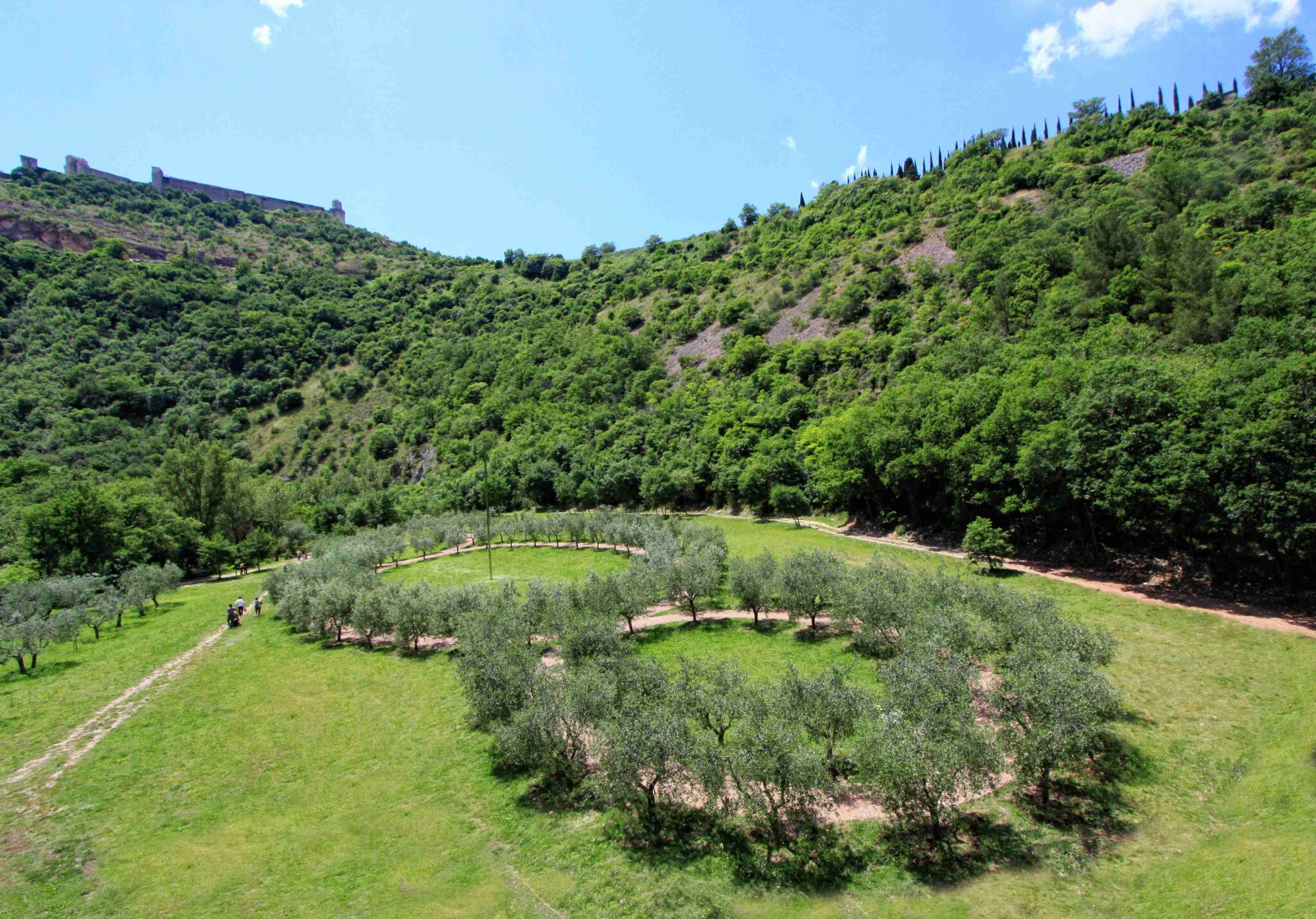 Vista aerea del Bosco di San Francesco, con gli uliveti circolari e le mura di Assisi sullo sfondo