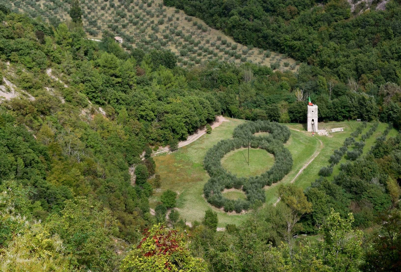 Sentiero tra gli ulivi nel Bosco di San Francesco